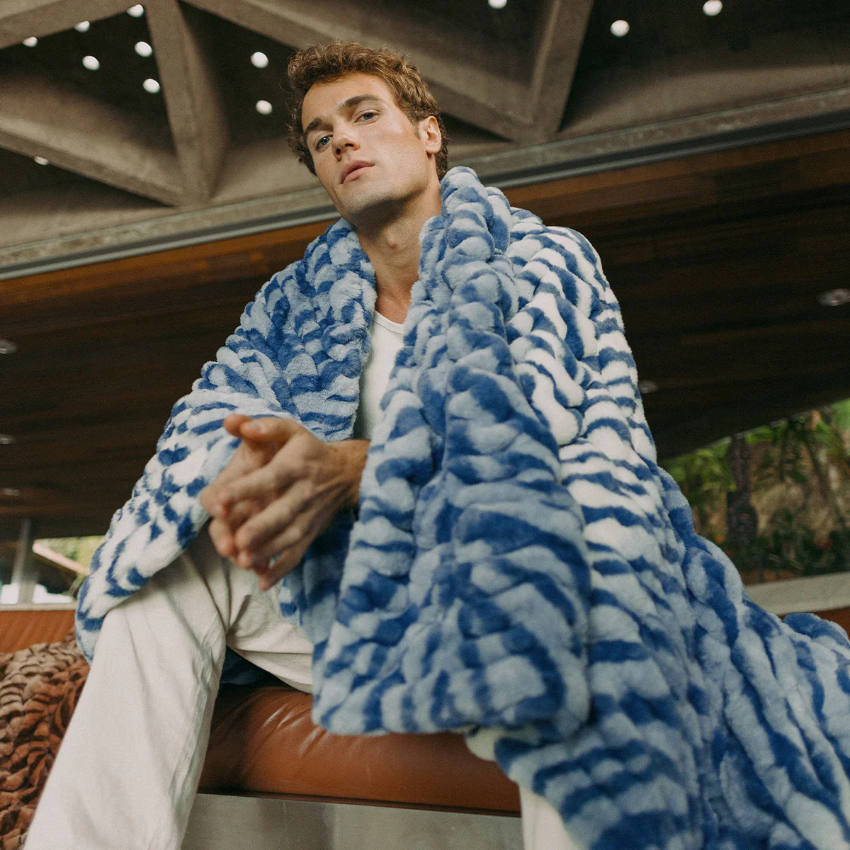 Blue Zebra - Image 3