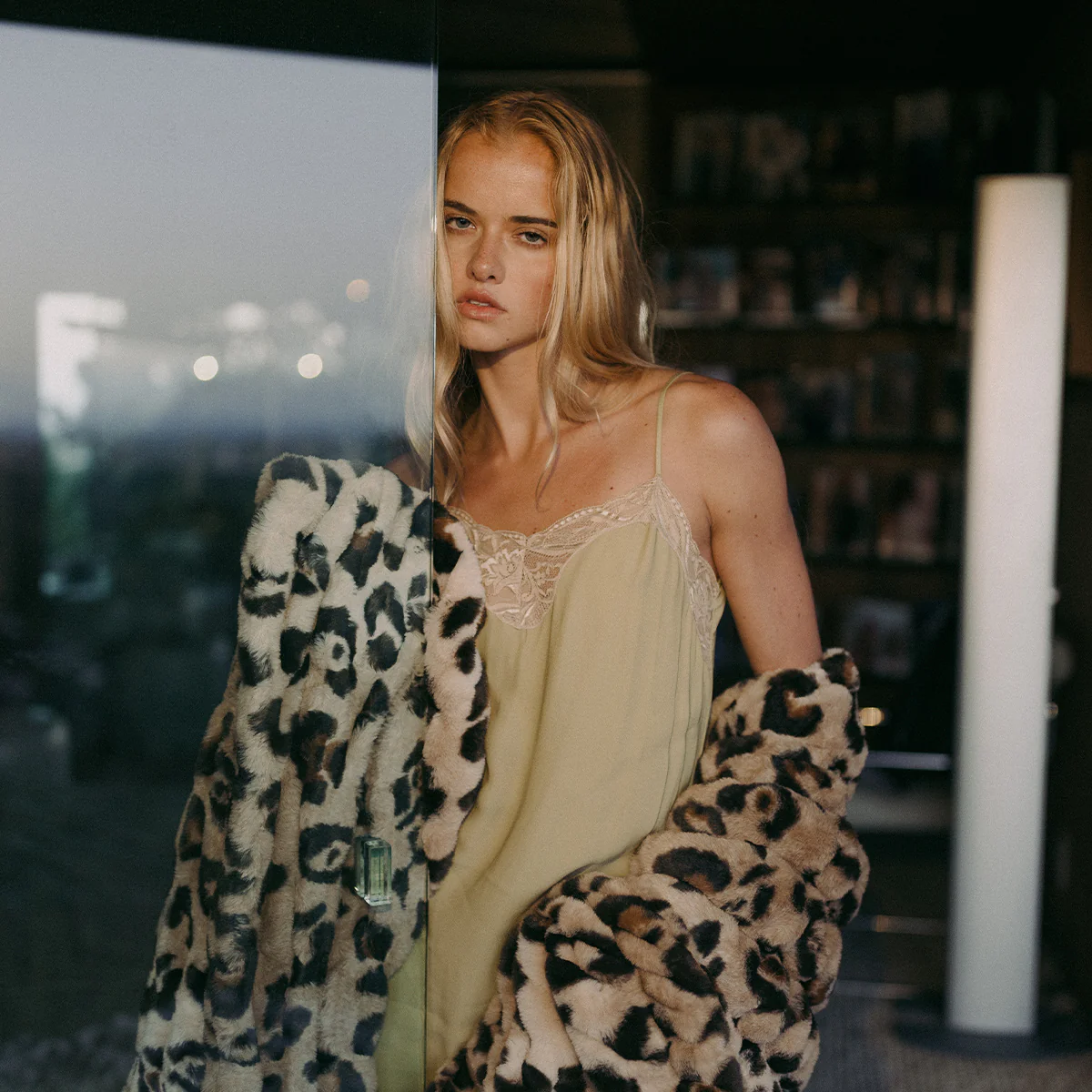 Leopard - Image 4
