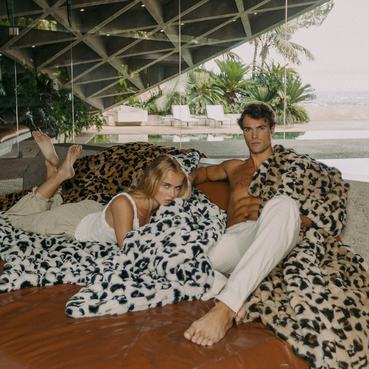 Leopard - Image 5