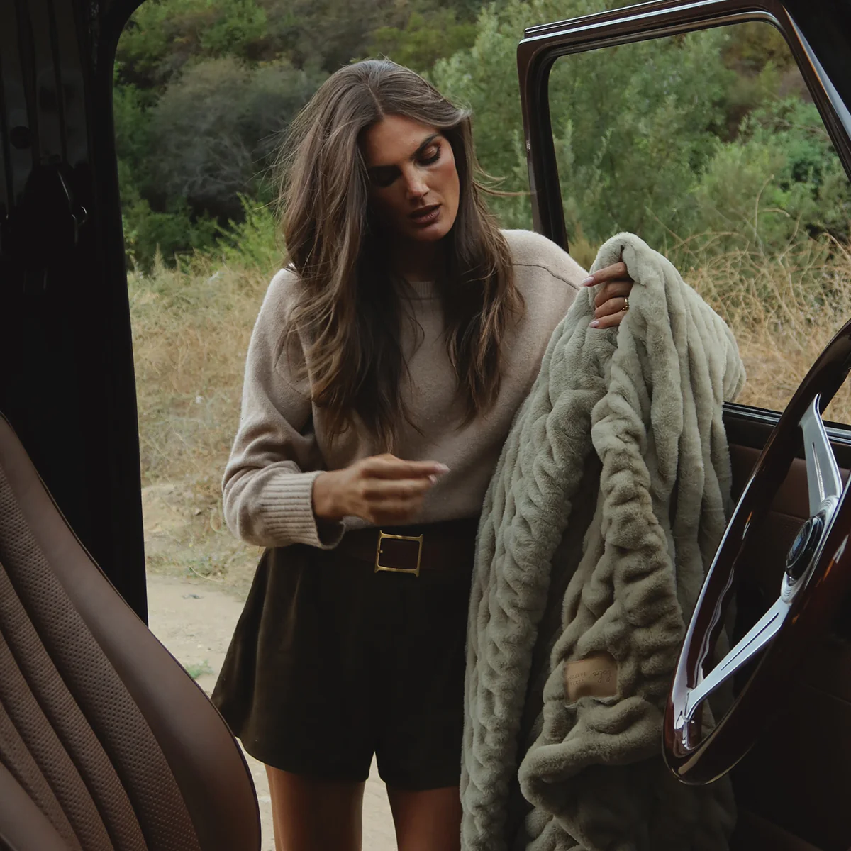 Wild Olive - Image 4