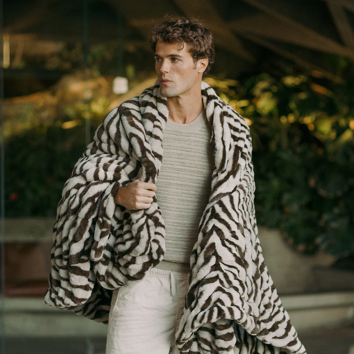 Zebra - Image 4